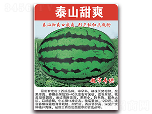 ̩ɽ��ˬ-���ϷN��-���÷N��