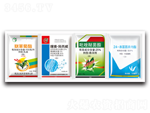 ȫ�Ø��ײ�-��ɂ��I(y��)