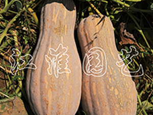 ����2̖-�ϹϷN��-�����@ˇ