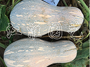 ����12̖-�ϹϷN��-�����@ˇ