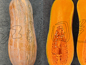 ����6̖-�ϹϷN��-�����@ˇ