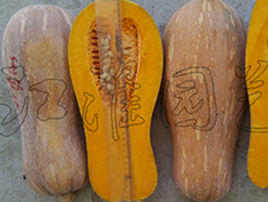 ��(y��u)��1̖-�ϹϷN��-�����@ˇ