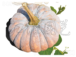 �P��202-�ϹϷN��-�����@ˇ