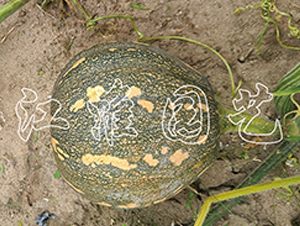 �P��214-�ϹϷN��-�����@ˇ