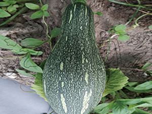 �ɹ�103-�ϹϷN��-�����@ˇ