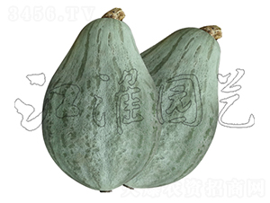 ���F2̖-�ϹϷN��-�����@ˇ