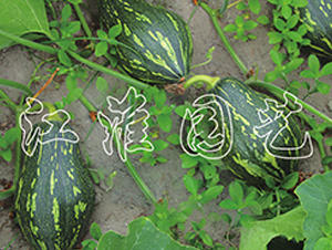 ����1̖-�ϹϷN��-�����@ˇ