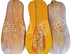 ��(y��u)��2̖-�ϹϷN��-�����@ˇ