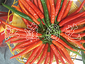 �t��3̖(h��o)-�����N��-�����@ˇ