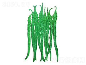 �콷7̖(h��o)-�����N��-�����@ˇ