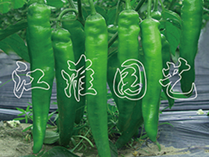 �G��-�����N��-�����@ˇ