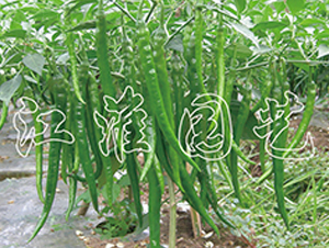 ��(qi��ng)�S7301-�����N��-�����@ˇ