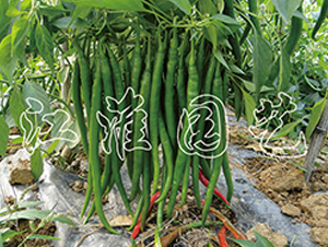 ��(y��u)��-�����N��-�����@ˇ