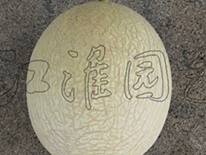 ������8̖(h��o)-��ϷN��-�����@ˇ