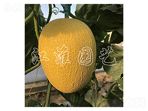 ������9̖(h��o)-��ϷN��-�����@ˇ