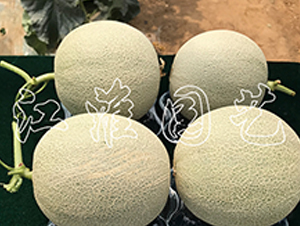 ����4̖(h��o)-��ϷN��-�����@ˇ