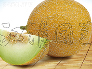 �W��9̖-��ϷN��-�����@ˇ