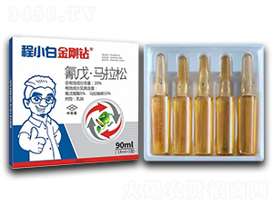 20%���졤�R��������-�����@-���r(n��ng)�r(n��ng)�I(y��)