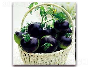 �������G-���ѷN��-���ƷN��