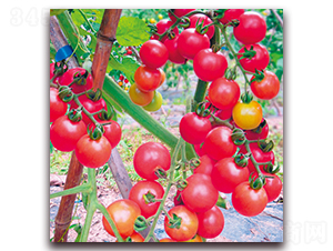 ǧ���ۼt-���ѷN��-���ƷN��