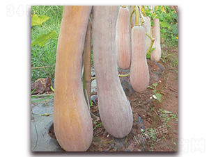 �����۱�1̖-�ϹϷN��-���ƷN��