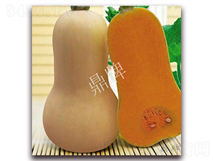 �����۱�1̖-�ϹϷN��-���ƷN��