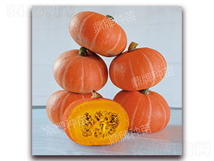 �t��1̖-�ϹϷN��-���ƷN��