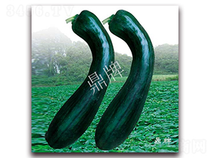 �����Ϲ�-�ϹϷN��-���ƷN��