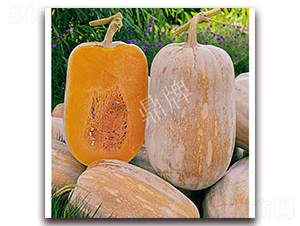 С�ֶ��۱�-�ϹϷN��-���ƷN��