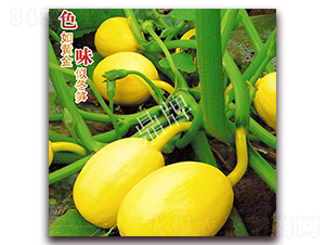 �S��S��-�ϹϷN��-���ƷN��