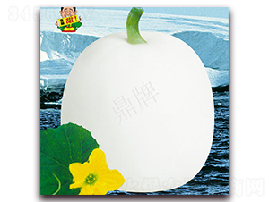 ѩ��-��ϷN��-���ƷN��