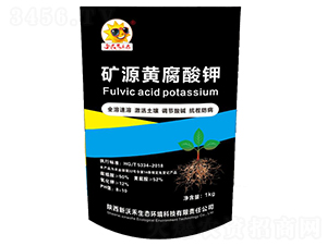 �VԴ�S�����-���ֺ�