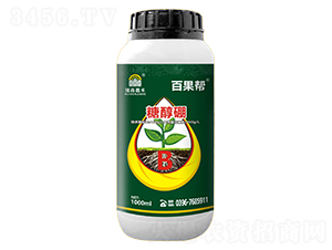 �Ǵ���-�ٹ���-��ɭ�κ�