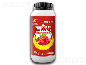 ��ݮ���Û_ʩ�ι������-�ٹ���-��ɭ�κ�