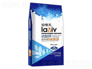 �����-���S��-��(y��u)��˹