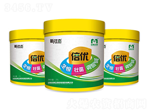 ����(y��u)-�ёB(t��i)-�������