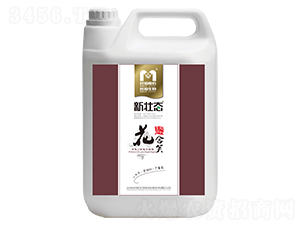 �_ʩ��-����Ц-�������