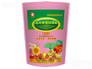 �^���ͻ��܌��ÿ�ጷ�-�Ŷ�-�����Ƽ�