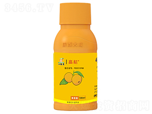 �߽�-�������