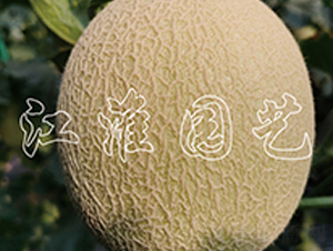 ������1̖-��ϷN��-�����@ˇ