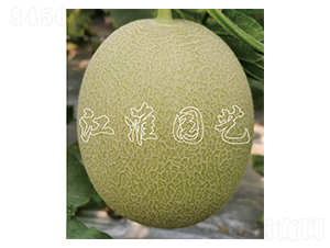 ������2̖-��ϷN��-�����@ˇ