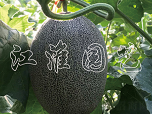 ���1̖-��ϷN��-�����@ˇ