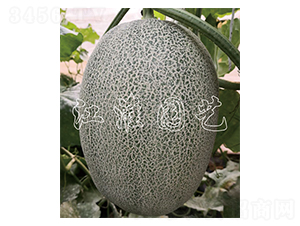 ������23̖-��ϷN��-�����@ˇ