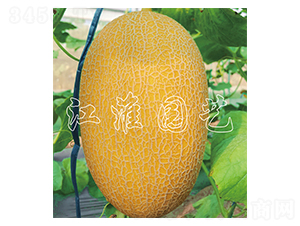 �����1̖-��ϷN��-�����@ˇ