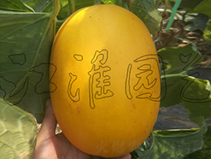 ��ͯ2̖-��ϷN��-�����@ˇ