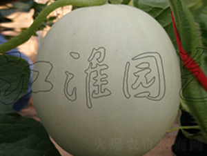 ���Sһ̖-��ϷN��-�����@ˇ