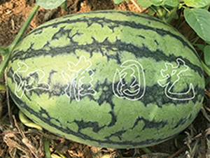 ׿Խ1̖-���ϷN��-�����@ˇ