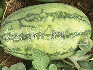 ׿Խ6̖-���ϷN��-�����@ˇ