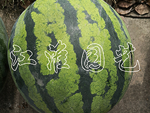 ����3̖-���ϷN��-�����@ˇ