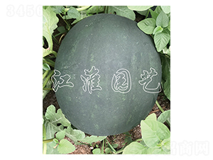 ����13̖(h��o)-���ϷN��-�����@ˇ